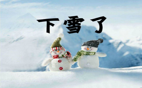 本文《下雪了作文400字》由整理,仅供参考.