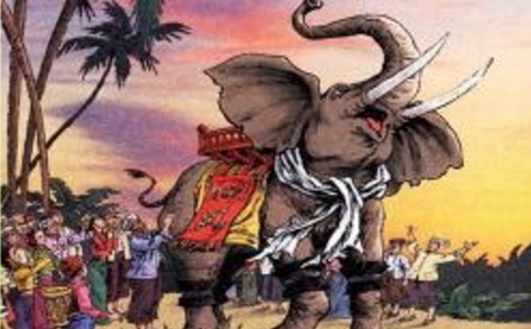 最后一头战象读后感100字到500字