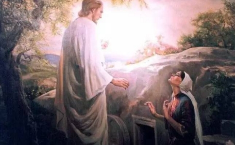 �����300�ֶ���з���