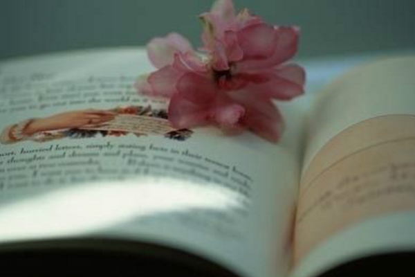 读《有的人》后感400字的范文