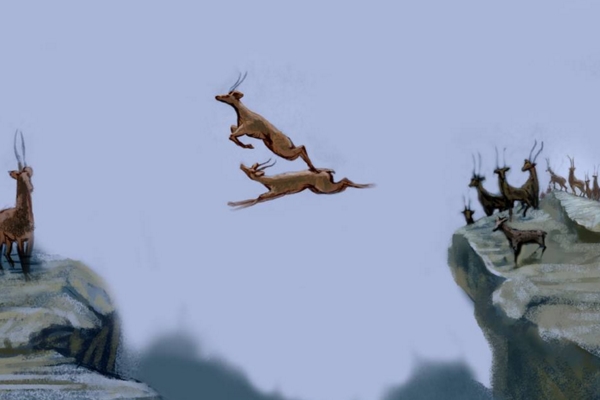 ������ɶɡ������600�ֵķ���