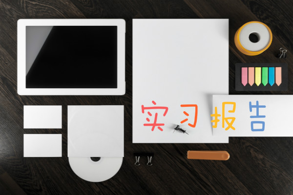 ���ӳ�ʵϰ�����ܽ᷶�ġ���ƪ��