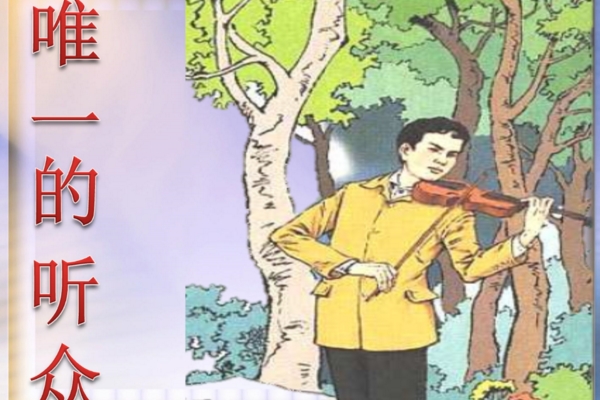 《唯一的听众》500字读后感范文