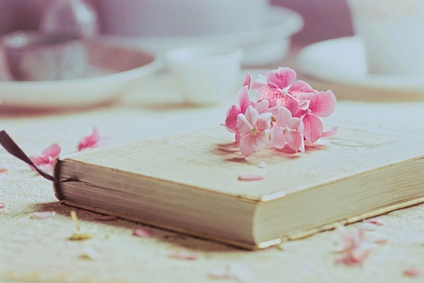 《少年闰土》500字读后感精选