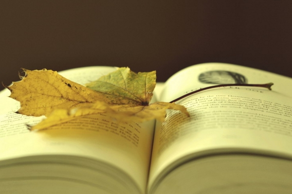 《我的野生动物朋友》读后感