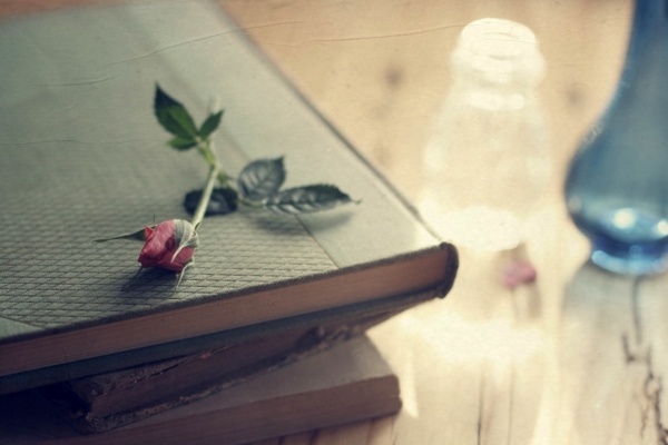 《本爱安娜》读后感范文