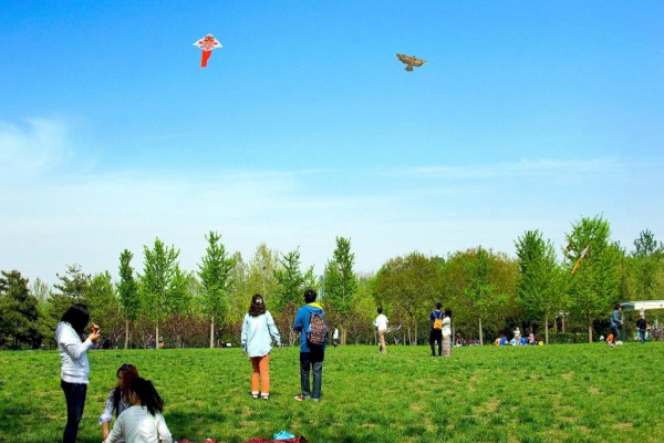 �߶���������500�֡���ƪ��