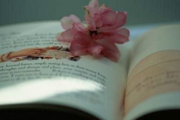 《狼牙山五壮士》的读后感范文