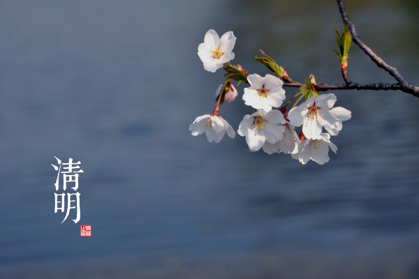 清明节活动主持词【三篇】