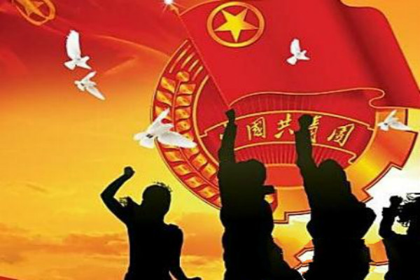 初中入团志愿书【500字】
