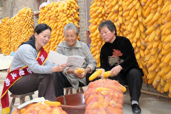 �����l(xi��ng)�ĵ��w��(hu��)����ƪ��