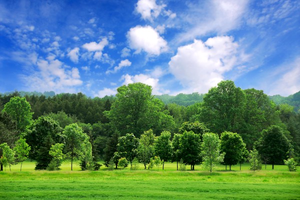 ���д�����������400�֡���ƪ��