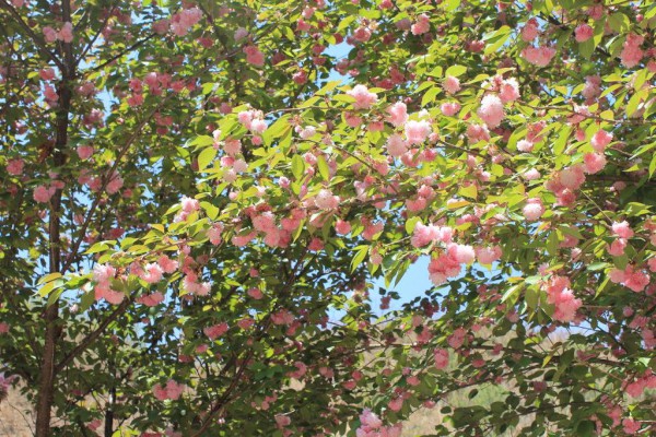 ���й���̤������ġ���ƪ��