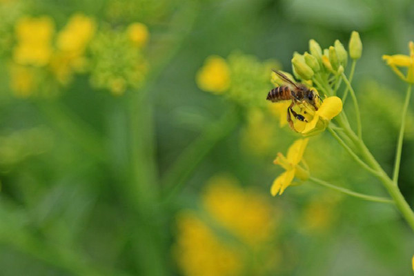 �泯�󺣣���ů���������ڴ�ů����Ψ��������ôд��