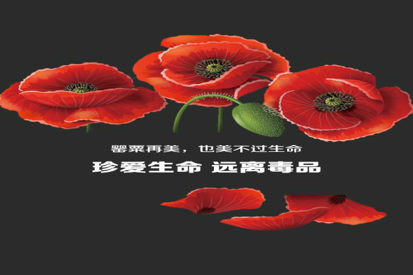 �����������ĵ���᡾��ƪ��