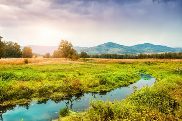春天，隐藏在万紫千红的花朵中，关于春天的读后感怎么写？