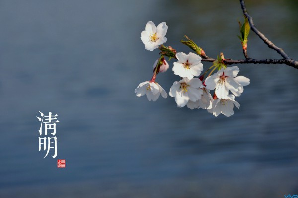 Сѧ�������ڼ�������600�֡���ƪ��