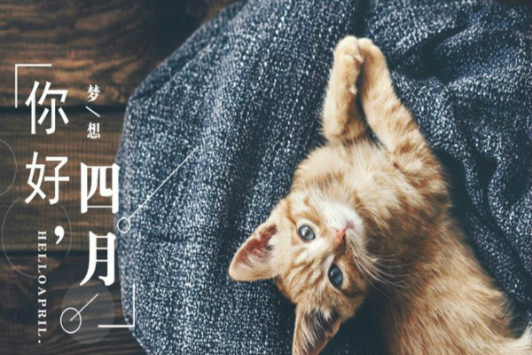 ��ů���������︴�գ���������ʱ�⣬�ഺ��־�ںŷ��ϣ���