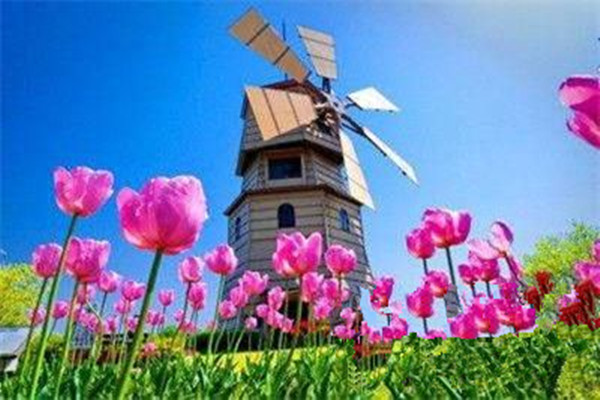 ���m�������Ӻ��뼮��Ҫʲô�l����