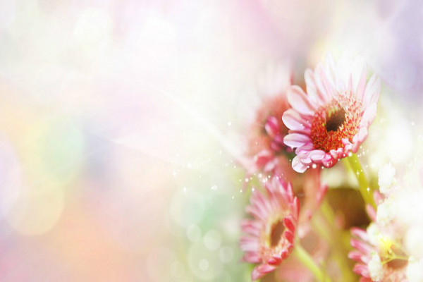 ��ҵ�ںţ���ȱ�ݵĲ�Ʒ���ڷ�Ʒ