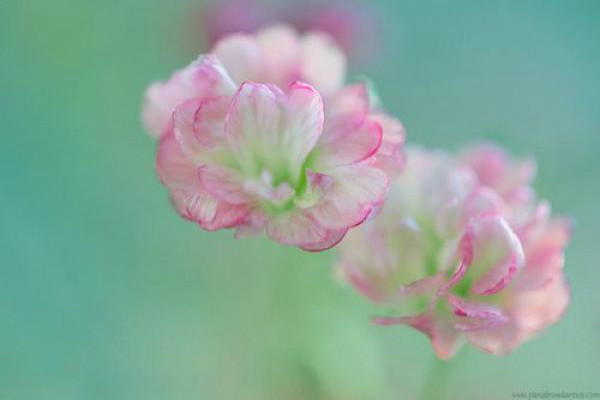 ��Ҫ����ɫ��������ʧ������̼�����ں�