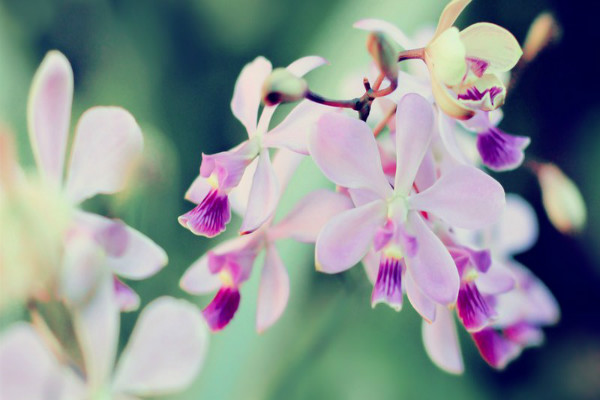 ���ѧϰ�������ɳ�������ѵ�ںŴ�ȫ