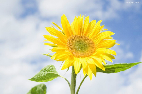 �������������������̵Ŀں�