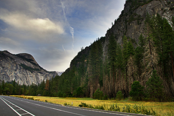 ������ѧ����רҵ���ܷ���