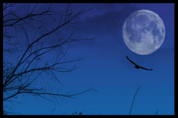 ����������������䡾��ƪ��