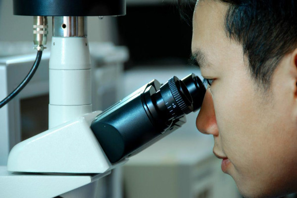 ��ҵ����ں�