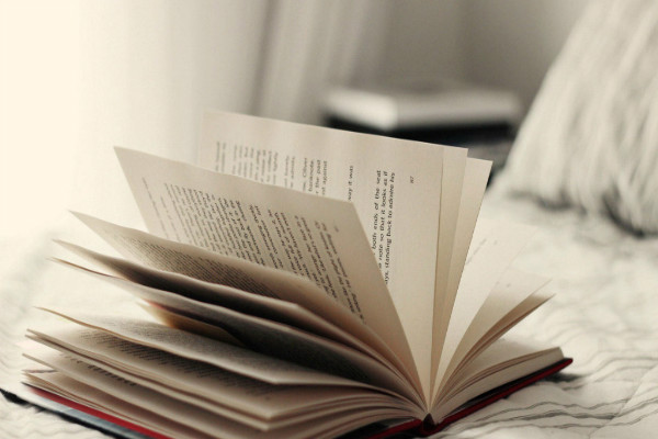 �����������Ŀں�