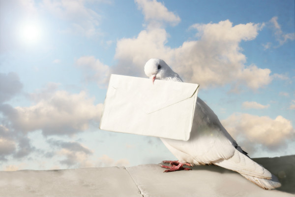 ���������ŷ��ġ���ƪ��