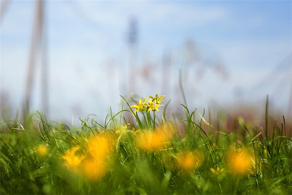 �����ʽ���ִ�