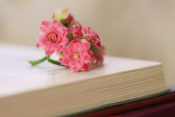 ������������ǿ�ľ�����ӡ���ƪ��