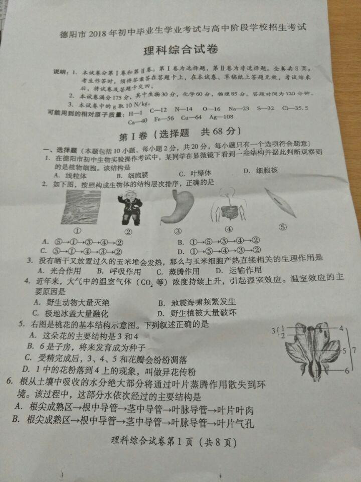 2018���Ĵ������п��������⣨�ѹ�����