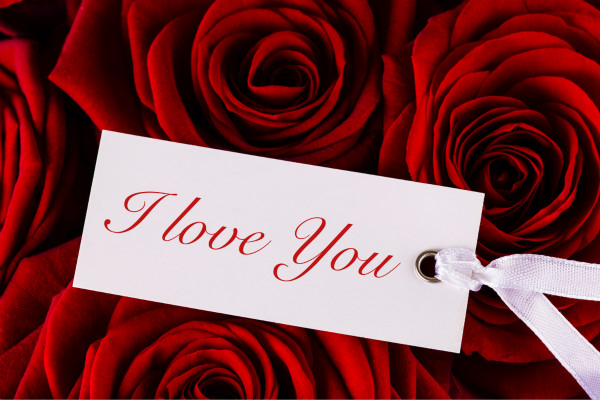 Ϧ˼緱ǵ㣡Ϧ˽ڵļ鼰ף֪٣