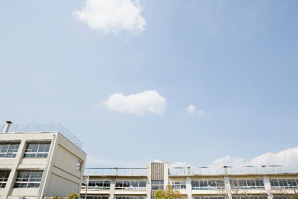 ѧУУ�ſڱ�����������㾫�񣬱ȳɼ��������