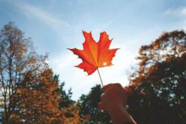 ���ô���ѧ���������Ҫ������Щ����