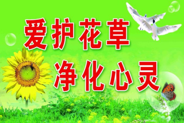 小开云kaiyun(中国)生爱护花草作文【五篇】