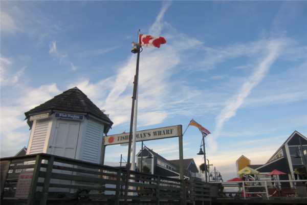 ��ѧ���ô�˽����������ǰ20������ЩѧУ