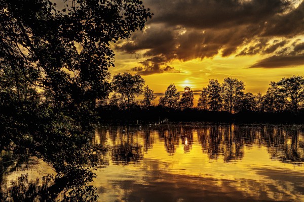 �ҵļ������д������600��