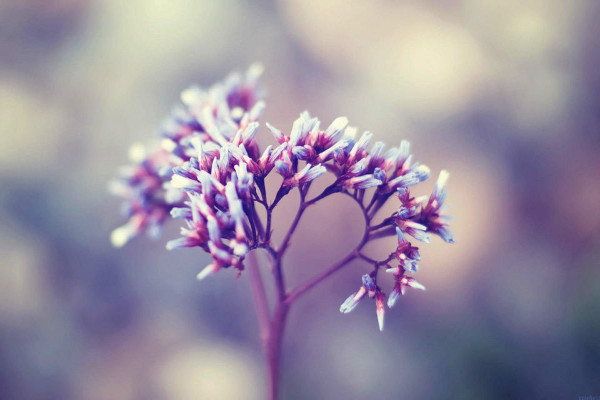 ��ָһ�Ӽ䣬���������������װ���������