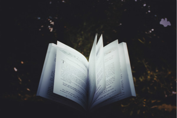 Сѧ���꼶ͯ����������500��