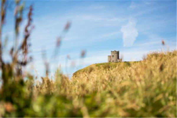 ���ڰ�������ѧǩ֤�����ļ�������