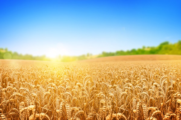 Сѧ����������������400�֡���ƪ��