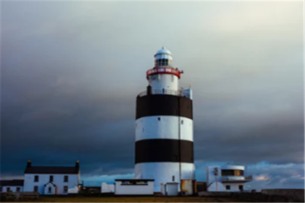 ��������ѧԤ����������������