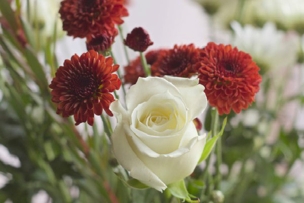 �Ұ��ջ�����д������600��