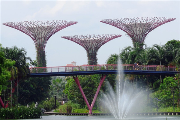 �¼�����ѧ�������ʶ����