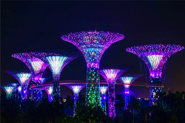 �¼�����ѧǩ֤������ϻ���