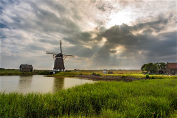 ȥ������ѧ����Щ��ѧ��������룿